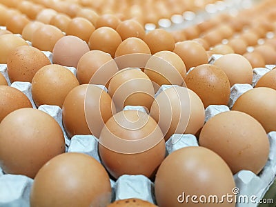 Brown chicken eggs in the egg tray,fresh raw chicken eggs in package for sale in supermarket Stock Photo