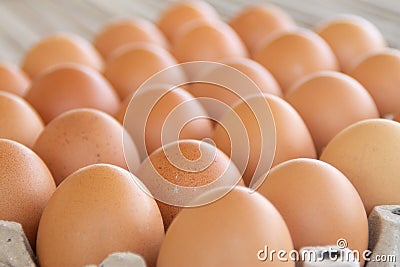 Brown chicken eggs are lined up in a tray. Many brown eggs are together in the tray Stock Photo