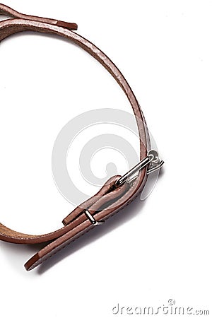 Brown collar with rivets isolated over white background Stock Photo