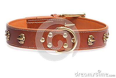 Brown collar with rivets Stock Photo
