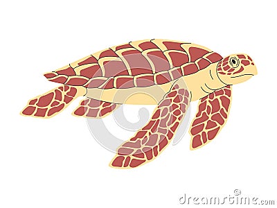 brown color hawksbill turtle wild nature ocean animal dive slow swimming underwater with shell Vector Illustration