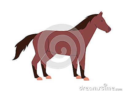 brown color horse mare or stallion wild nature mammal animal have tail and power fast run Vector Illustration