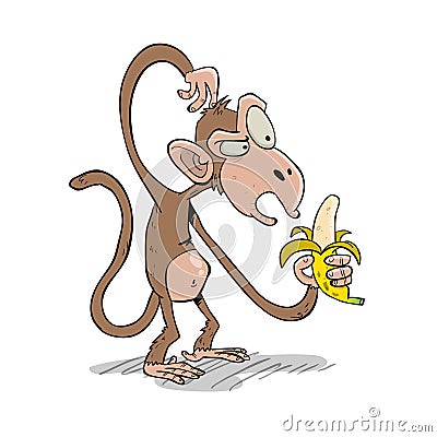 Brown monkey scratching its head before eating a banan Vector Illustration