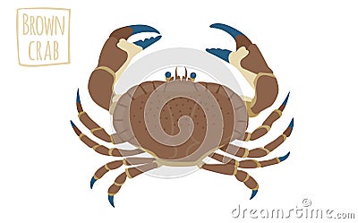 Brown crab, vector cartoon illustration Vector Illustration