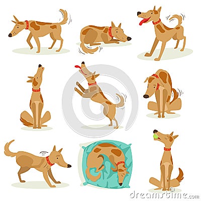 Brown Dog Set Of Normal Activities Vector Illustration