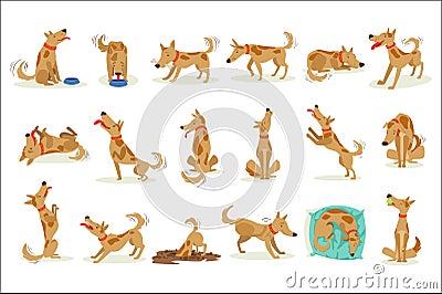 Brown Dog Set Of Normal Everyday Activities Vector Illustration