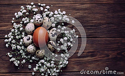 Brown egg surrounded with quial eggs in nest of gypsophila flowers Stock Photo