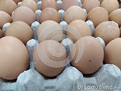 Brown eggs stacked in rows in a french kitchen Stock Photo