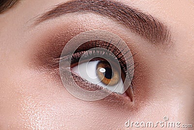 Brown eye with glamour make up close up Stock Photo