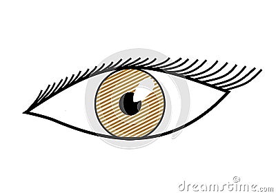 Brown eye Vector Illustration