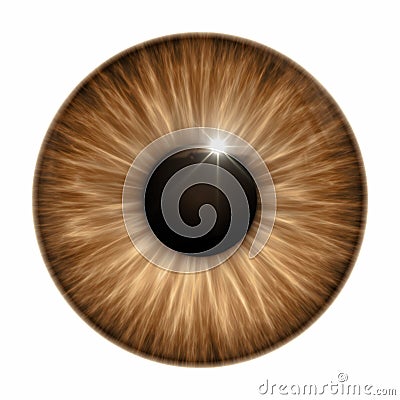 Brown eye texture Stock Photo