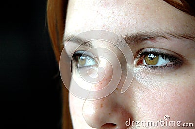 Brown eyes Stock Photo