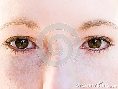 Brown eyes Stock Photo