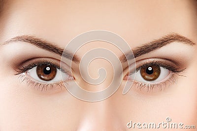 Brown eyes Stock Photo