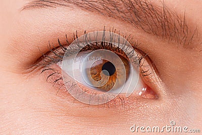 Brown female eye wearing contact lenses Stock Photo