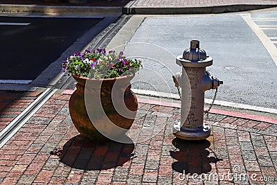 A brown flower pot with colorful flowers next to a silver fire hydrant on a red brick sidewalk next to the street in downtown Editorial Stock Photo