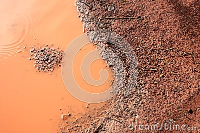 Brown foggy and muddy swamp on the left of the frame and brown sandy ground on the right separated by a curvy line in the middle. Stock Photo