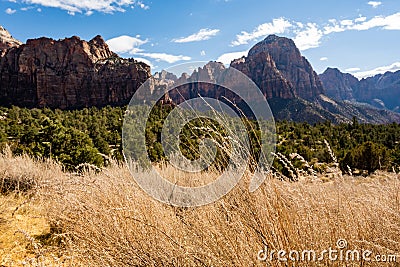 Brown Grasses Blow In The Wind With Mount Spry and Bridge Mountain In The Distance Stock Photo