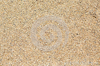 Tiny gravel texture on brown concrete wall in sunny day Stock Photo