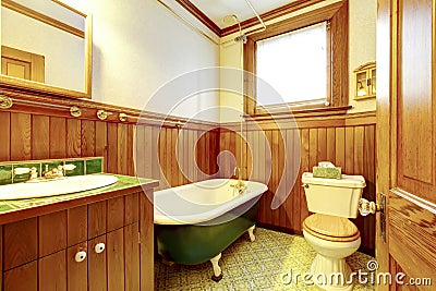 Brown and green antique bathroom with plank paneled walls and gr Stock Photo