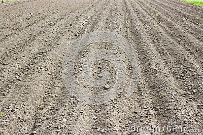 Brown ground plowed field, harrow lines. Arable background. A freshly ploughed field Stock Photo