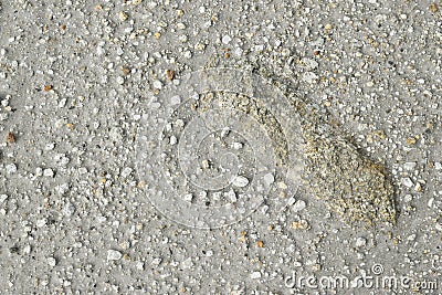 Brown ground and stone surface background ,Nature style and empty space for text. Stock Photo