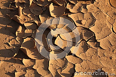 Brown ground texture with cracks Stock Photo