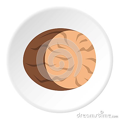 Brown half of nutmeg icon circle Vector Illustration