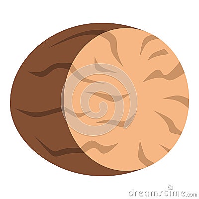 Brown half of nutmeg icon isolated Vector Illustration