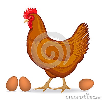 Brown Hen Stock Photo