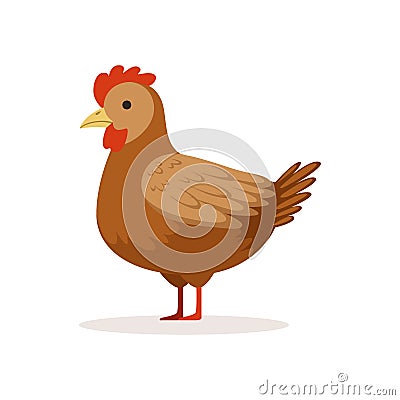 Brown hen, poultry breeding vector Illustration Vector Illustration