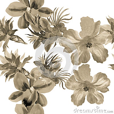 Brown Hibiscus Illustration. Colorless Watercolor Backdrop. Gray Seamless Plant. Flower Set Pattern Print. Tropical Set. Summer Ba Stock Photo