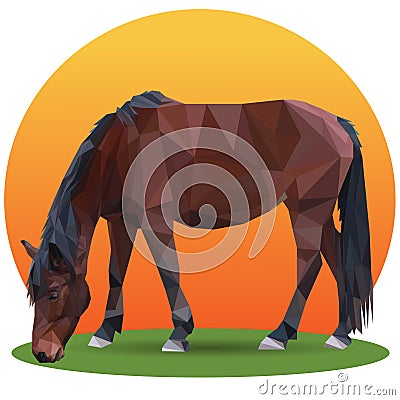 Brown horse close-up low poly Vector Illustration