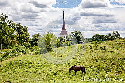 A brown horse grazes on a slope of a green hill, in a rustic par Stock Photo
