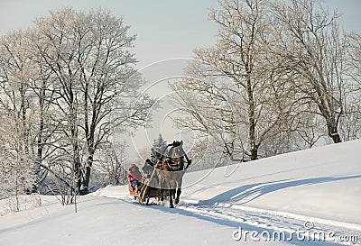 Brown horse pulling sleigh with peoples, winter wounderland landscape Stock Photo