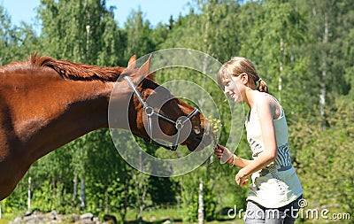 Brown horse with smiling girl Stock Photo