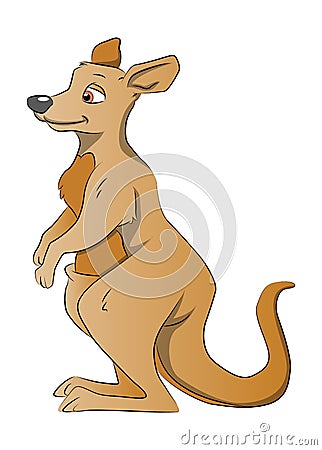 Brown Kangaroo, illustration Vector Illustration