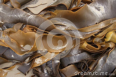 Brown kelp washed up on beach Stock Photo