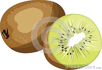 Brown kiwi fruit and green kiwi half vector illustration Vector Illustration