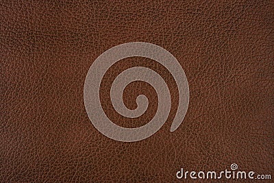 Brown leather Stock Photo