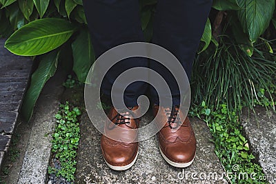 Brown leather shoes. View from above Stock Photo