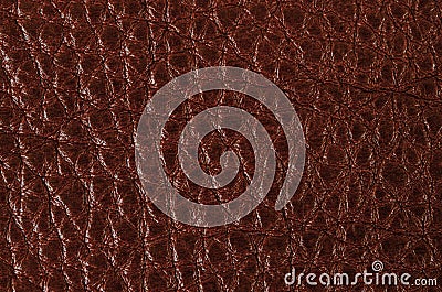 Brown leather texture closeup. Leather texture background. Stock Photo