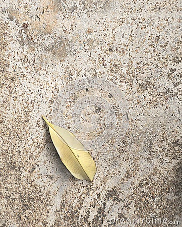 Brown leaves on concrete floor/ground. Stock Photo