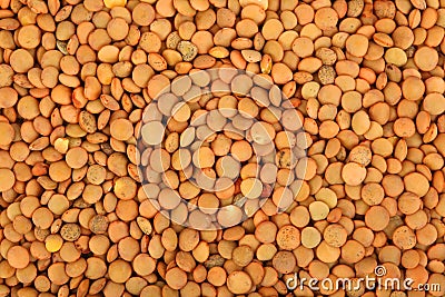 Brown lentil seeds Stock Photo