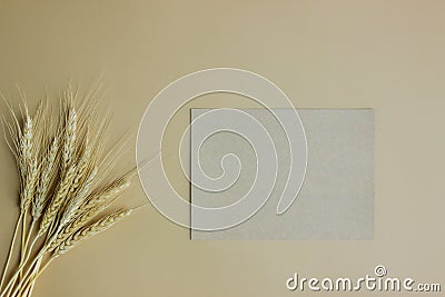 Brown letter with natural wheat over the brown background. Stock Photo