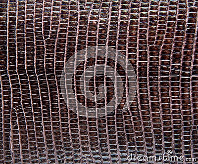 Brown lizard skin, abstrat leather texture for background. Stock Photo