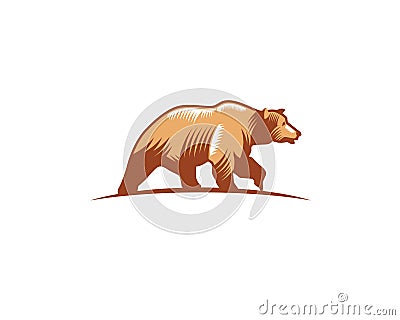 Brown mature bear walking alone on the ground Vector Illustration