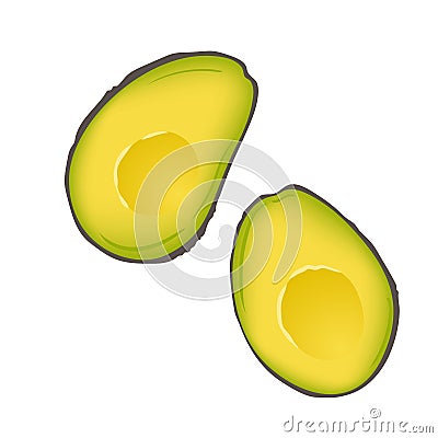 Brown mature Haas avocado cut in half isolated on white background. Two slices of avocado Vector Illustration