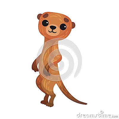 Brown Meerkat or Suricate as African Animal Vector Illustration Vector Illustration