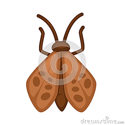 Brown moth with stains on wings and long antennae Vector Illustration